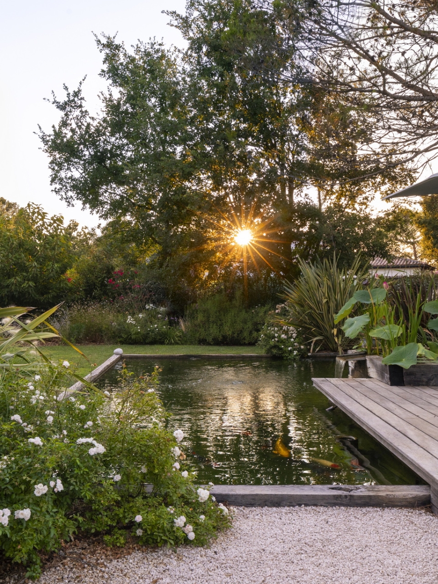 accueil 10 Atelier Naudier Architecte Paysagiste Concepteur Montpellier Aix En Provence Bassin Zen Lame Deau Jardin Exotique Mediterranneen Creation Et Amenagement Jardin